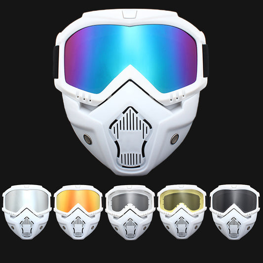 Ski Wind Protection Goggles